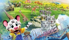 春节【广州长隆】1月31日-2月23日报价