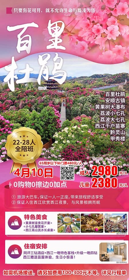 百里杜鹃4月10日(1)