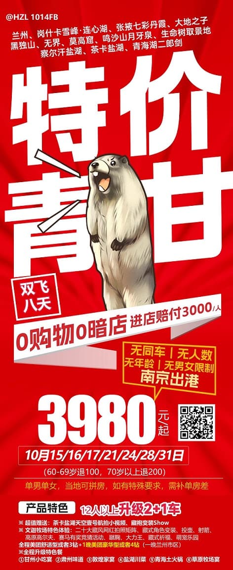 特价青甘(1)